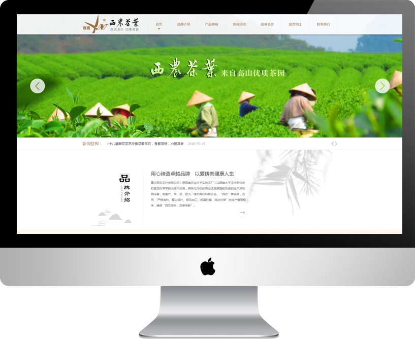 重庆西农茶叶有限公司(原西南农业大学实验茶厂)以西南大学茶叶研究所和食品科学学院为技术后盾,拥有无污染的高山优质茶园和先进的生产及检测设备,是集产、学、研、贸为一体的高校科技企业。“西农”牌茶叶,应用 “严格选料、精心设计、规范加工、低温贮藏、自动分装”的生产管理程序,确保“西农茶叶、四季常新”。