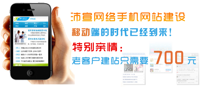 沛宣网络手机网站建设