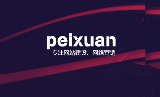 网站建设用什么程序语言最好