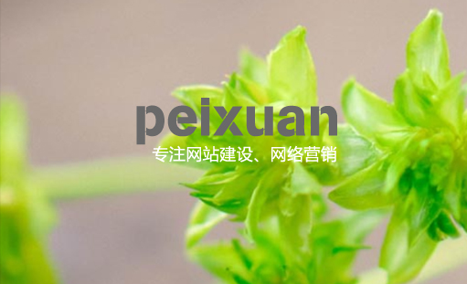 重庆网站建设一条龙服务指的是哪些服务