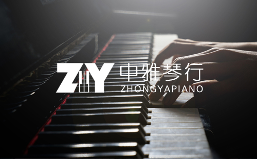 中雅琴行