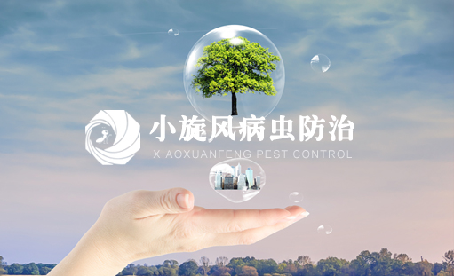 祝贺重庆小旋风病虫害防治有限公司营销型网站上线