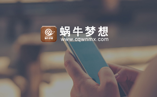 蜗牛梦想电商平台